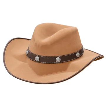 Cowboy hat