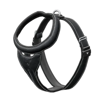 Harness