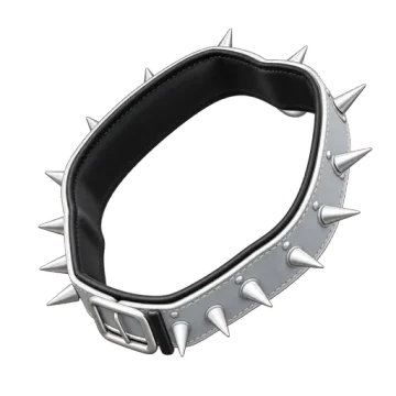 Spiked collar