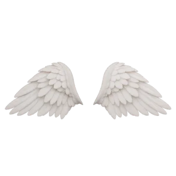 Angel wings