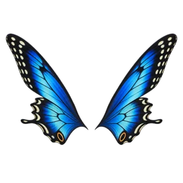 Butterfly wings
