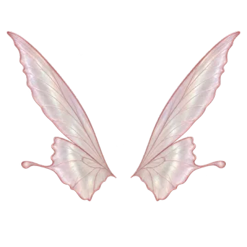 Fairy wings