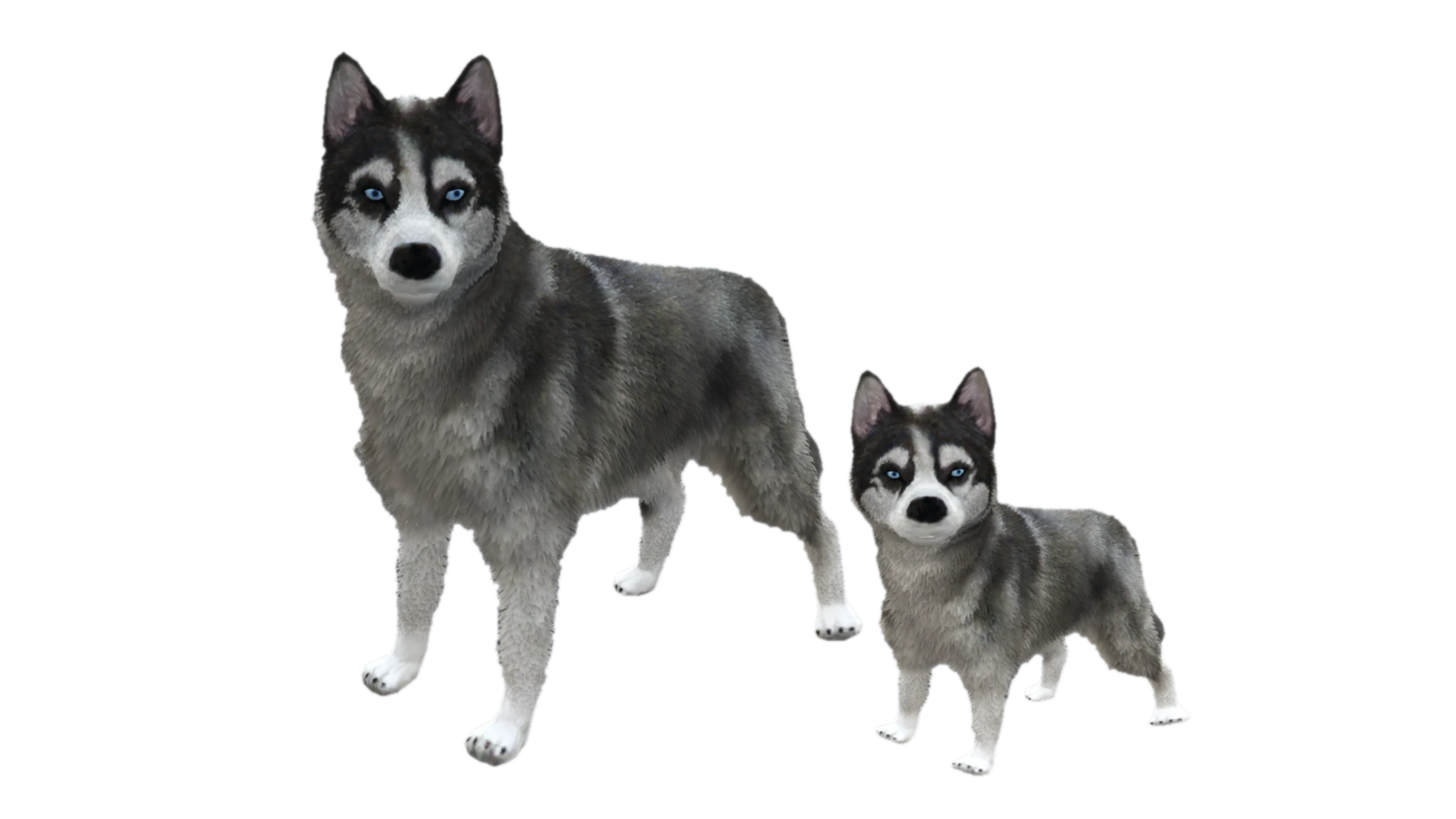 Puppies!
