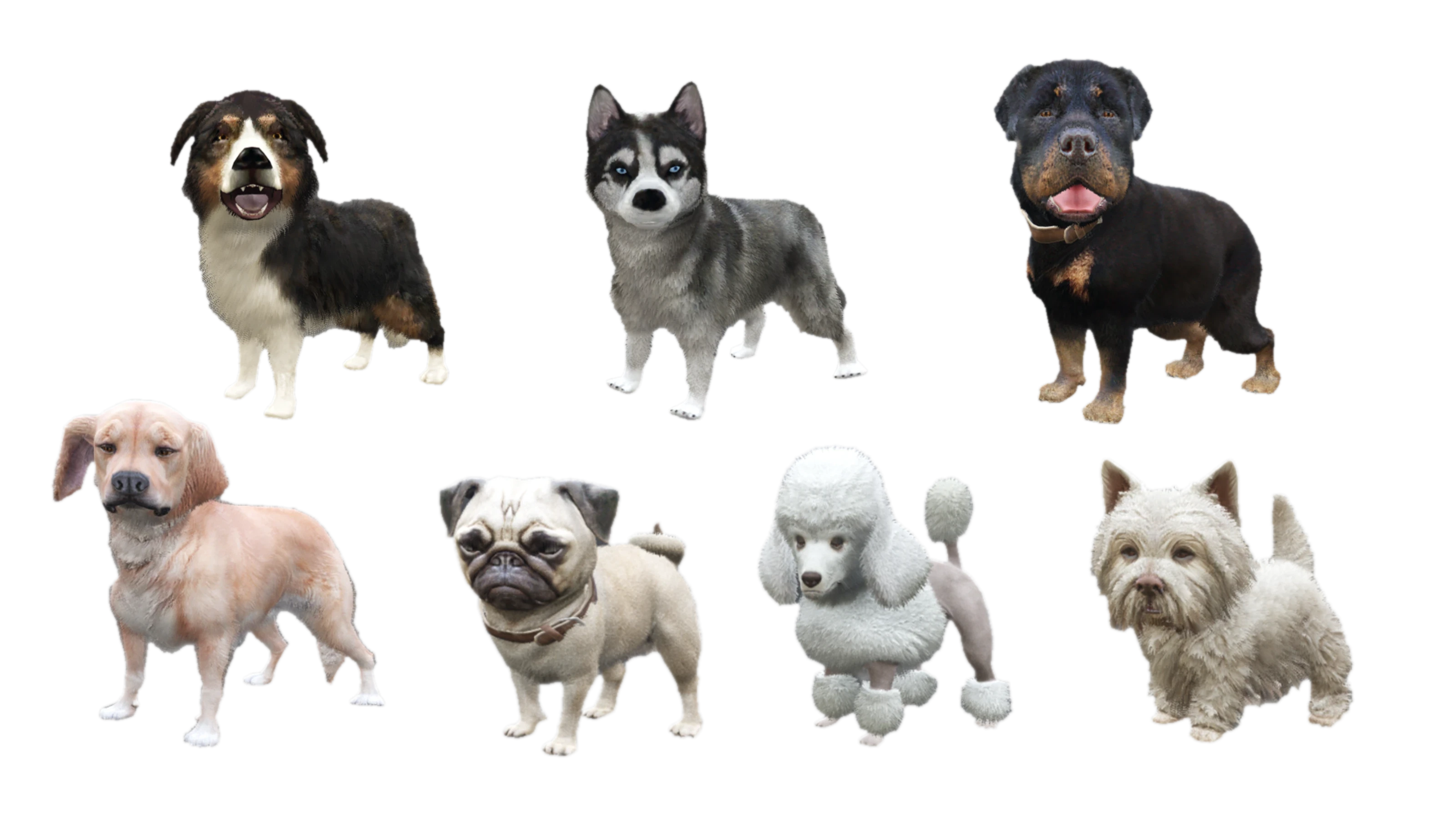 Puppies!