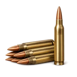 Transparent PNG of the GTA V item 5_56_ammo_rifle