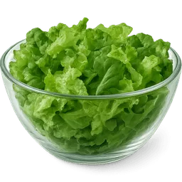 Transparent PNG of the GTA V item a_salad_bowl_with_just_plain_salad