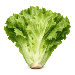 Transparent PNG of the GTA V item alface