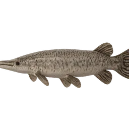 Transparent PNG of the GTA V item aligator_gar