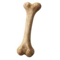 Transparent PNG of the GTA V item animal_bone