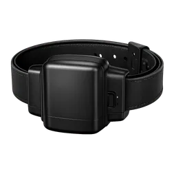 Transparent PNG of the GTA V item ankle_monitor_1