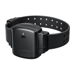 Transparent PNG of the GTA V item ankle_monitor_2