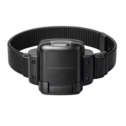 Transparent PNG of the GTA V item anklet_police_item