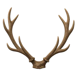Transparent PNG of the GTA V item antlers