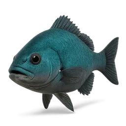 Transparent PNG of the GTA V item aquamarin_fisch_vorne_ansicht_mit_einer_schr_ge_perspektive_2