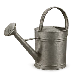 Transparent PNG of the GTA V item arrosoir_plante