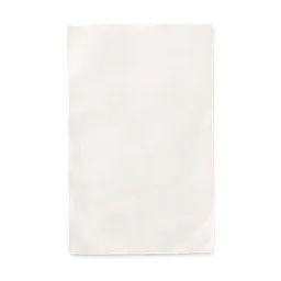 Transparent PNG of the GTA V item atm_receipt_2