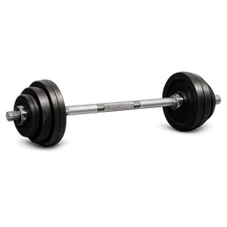 Transparent PNG of the GTA V item barbel