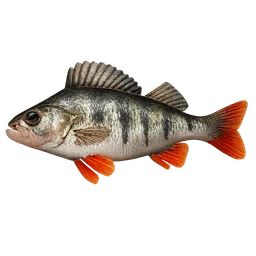 Transparent PNG of the GTA V item barsch_3