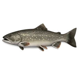 Transparent PNG of the GTA V item bull_trout