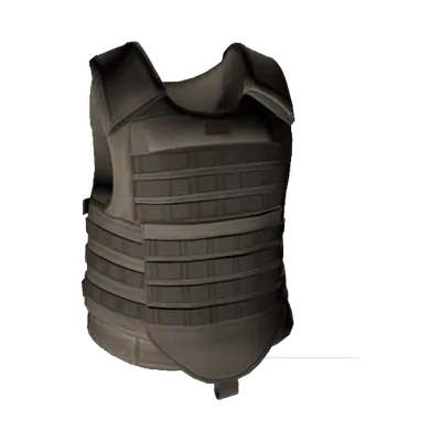Transparent PNG of the GTA V item bulletproof_2