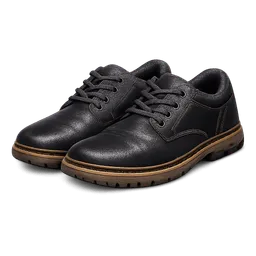 Transparent PNG of the GTA V item civil_shoes_1