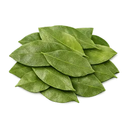 Transparent PNG of the GTA V item coca_leaves