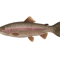 Transparent PNG of the GTA V item rainbow_trout