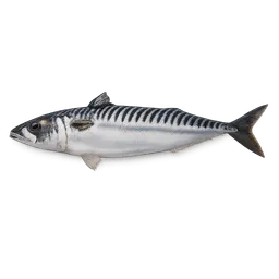 Transparent PNG of the GTA V item raw_mackerel