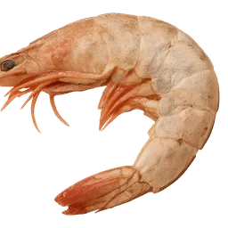 Transparent PNG of the GTA V item raw_shrimp_1