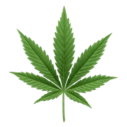 Transparent PNG of the GTA V item raw_weed_leafs