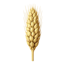 Transparent PNG of the GTA V item raw_wheat