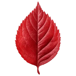 Transparent PNG of the GTA V item red_leaf