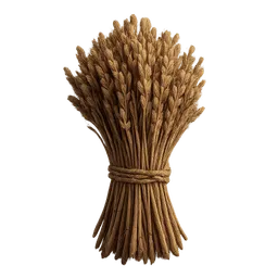 Transparent PNG of the GTA V item reispflanze_getrocknet