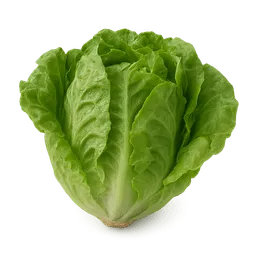 Transparent PNG of the GTA V item salat_4