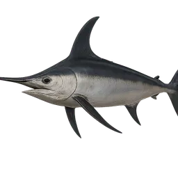 Transparent PNG of the GTA V item schwertfisch_1