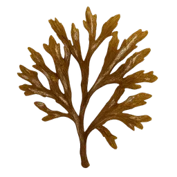 Transparent PNG of the GTA V item sea_weed