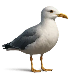 Transparent PNG of the GTA V item seagull