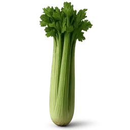 Transparent PNG of the GTA V item sedano