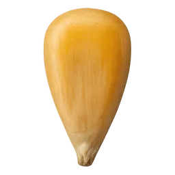 Transparent PNG of the GTA V item seed_corn