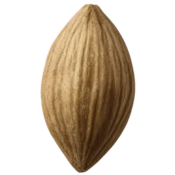 Transparent PNG of the GTA V item seed_leek