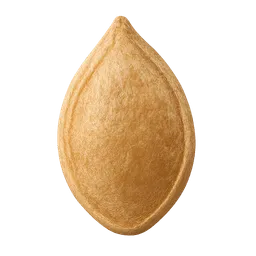 Transparent PNG of the GTA V item seed_pumpkin