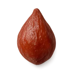 Transparent PNG of the GTA V item seed_strawberry_one_seed