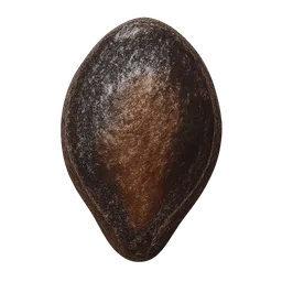 Transparent PNG of the GTA V item seed_watermelon