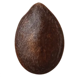 Transparent PNG of the GTA V item seed_watermelon_one_seed