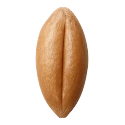 Transparent PNG of the GTA V item seed_wheat