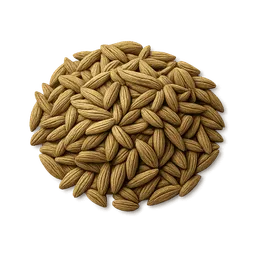 Transparent PNG of the GTA V item semi_di_finocchio