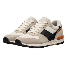 Transparent PNG of the GTA V item sneakers