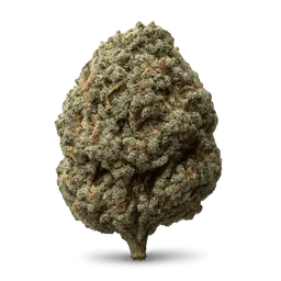 Transparent PNG of the GTA V item sour_diesel