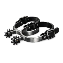 Transparent PNG of the GTA V item sporen