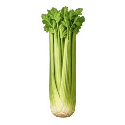 Transparent PNG of the GTA V item stalk_of_celery